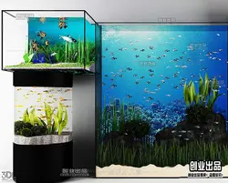 آبجکت آکواریوم aquarium 36