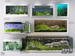 آبجکت آکواریوم aquarium 35