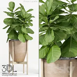 آبجکت گیاه plant 951