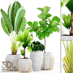 آبجکت گیاه plant 945