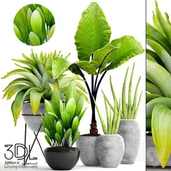 آبجکت گیاه plant 944