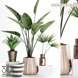 آبجکت گیاه plant 940