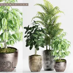 آبجکت گیاه plant 939