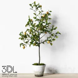 آبجکت گیاه plant 938