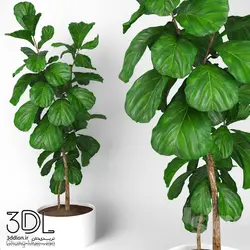آبجکت گیاه plant 937