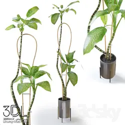 آبجکت گیاه plant 936