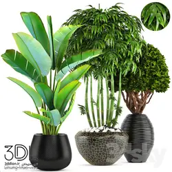 آبجکت گیاه plant 933