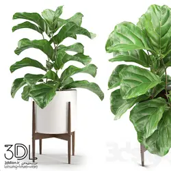 آبجکت گیاه plant 932