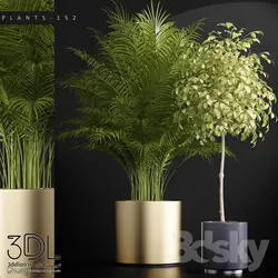 آبجکت گیاه plant 929