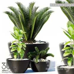 آبجکت گیاه plant 927