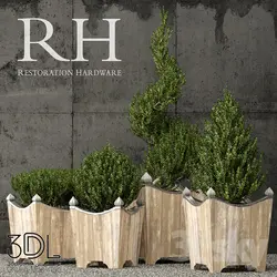 آبجکت گیاه plant 924