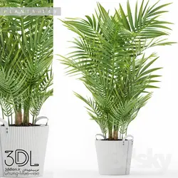 آبجکت گیاه plant 921