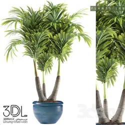 آبجکت گیاه plant 920