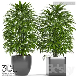 آبجکت گیاه plant 919