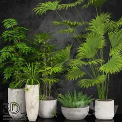 آبجکت گیاه plant 917