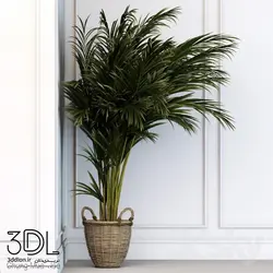 آبجکت گیاه plant 916