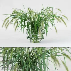 آبجکت گیاه plant 911