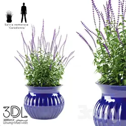 آبجکت گیاه plant 910