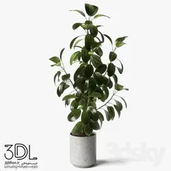 آبجکت گیاه plant 907
