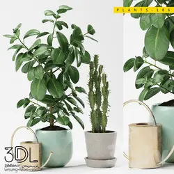 آبجکت گیاه plant 903