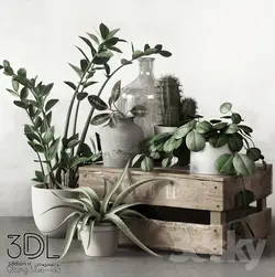 آبجکت گیاه plant 901