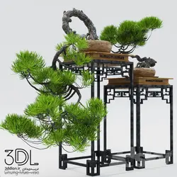 آبجکت گیاه plant 898