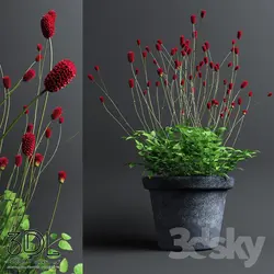 آبجکت گیاه plant 892