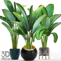 آبجکت گیاه plant 889