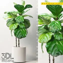 آبجکت گیاه plant 855