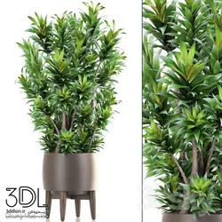 آبجکت گیاه plant 854