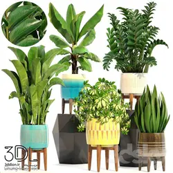 آبجکت گیاه plant 853