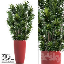 آبجکت گیاه plant 850