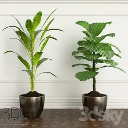 آبجکت گیاه plant 847