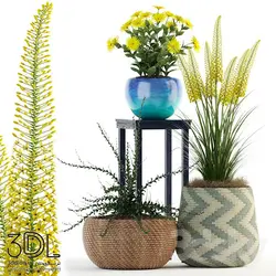 آبجکت گیاه plant 844