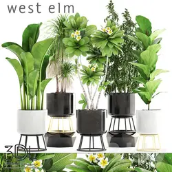 آبجکت گیاه plant 843