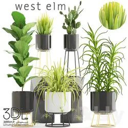 آبجکت گیاه plant 842