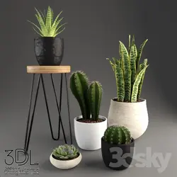 آبجکت گیاه plant 840