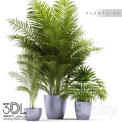 آبجکت گیاه plant 835