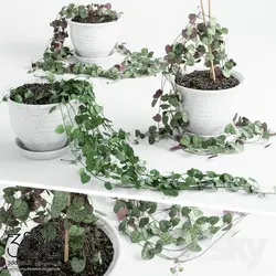 آبجکت گیاه plant 880