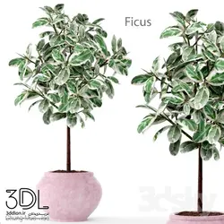 آبجکت گیاه plant 879