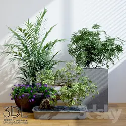 آبجکت گیاه plant 873