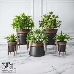 آبجکت گیاه plant 872