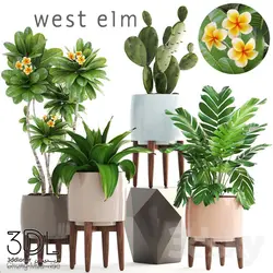 آبجکت گیاه plant 870