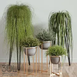 آبجکت گیاه plant 865