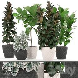 آبجکت گیاه plant 864