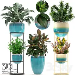 آبجکت گیاه plant 861