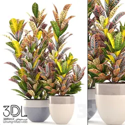 آبجکت گیاه plant 860