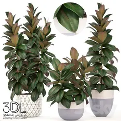 آبجکت گیاه plant 859