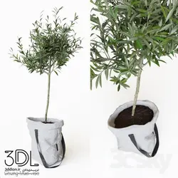 آبجکت گیاه plant 827