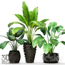 آبجکت گیاه plant 824